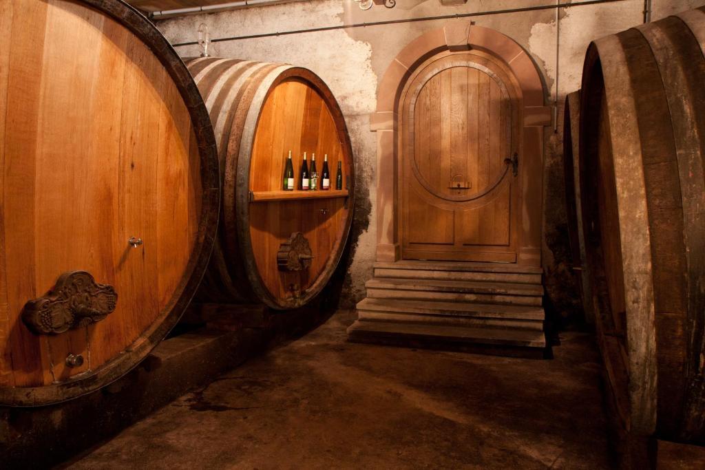 Gites Le Tokay Et Le Muscat Gertwiller Rum bild